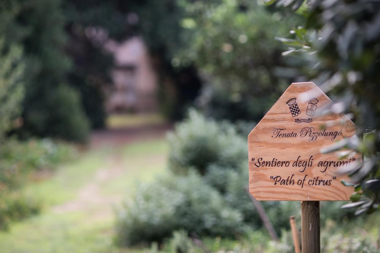 Azienda Agrituristica Tenuta Pizzolungo Эриче Экстерьер фото